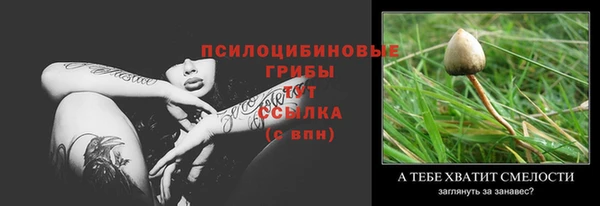круглые Вяземский