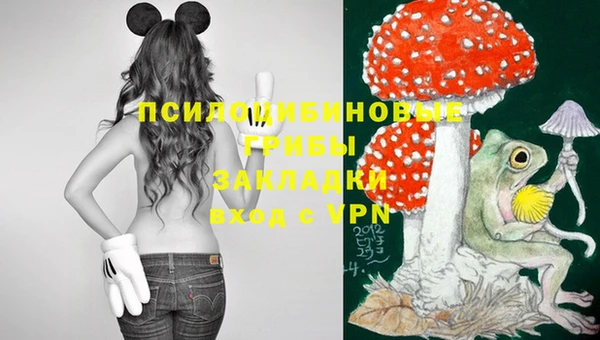jwh Снежинск