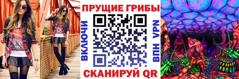 Галлюциногенные грибы Psilocybe  Снежинск 